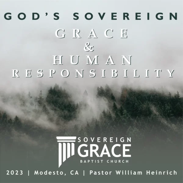 Gods Sovereign Grace and Human Responsibility Image